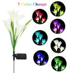 Solar Garden Flower Lights - (2Pc Set) - Image 6