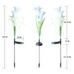 Solar Garden Flower Lights - (2Pc Set) - Image 8