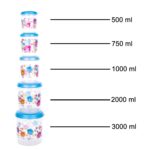 Plastic Transparent Container Air Tight Dabba Set (3000ml, 2000ml, 1000ml, 750ml, 500ml) - Image 8