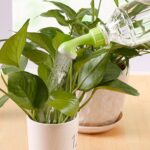 Bottle Watering Nozzle for Plants – Garden Water Sprinkler Head (2 Pc) - Image 5