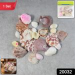 Natural Decorative Sea Shells Set (1 Set) - Image 2